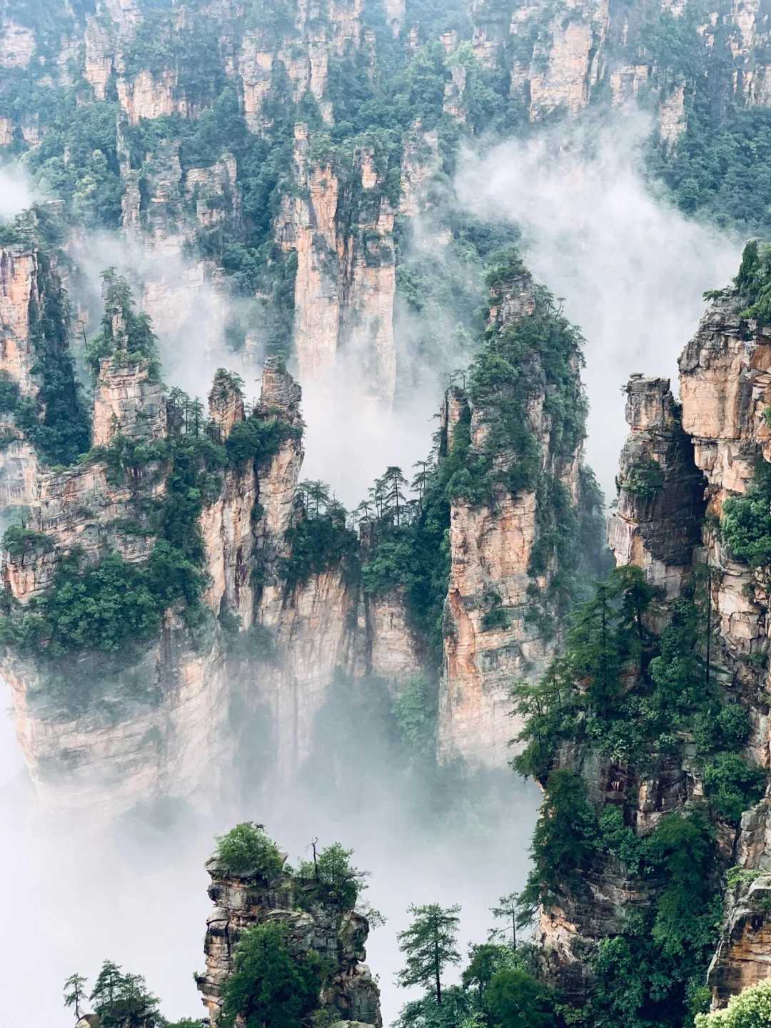 Changsha-Zhangjiajie Western Hunan 5-day travel guide, go deep into the National Forest Park to explore the wonders of the canyon