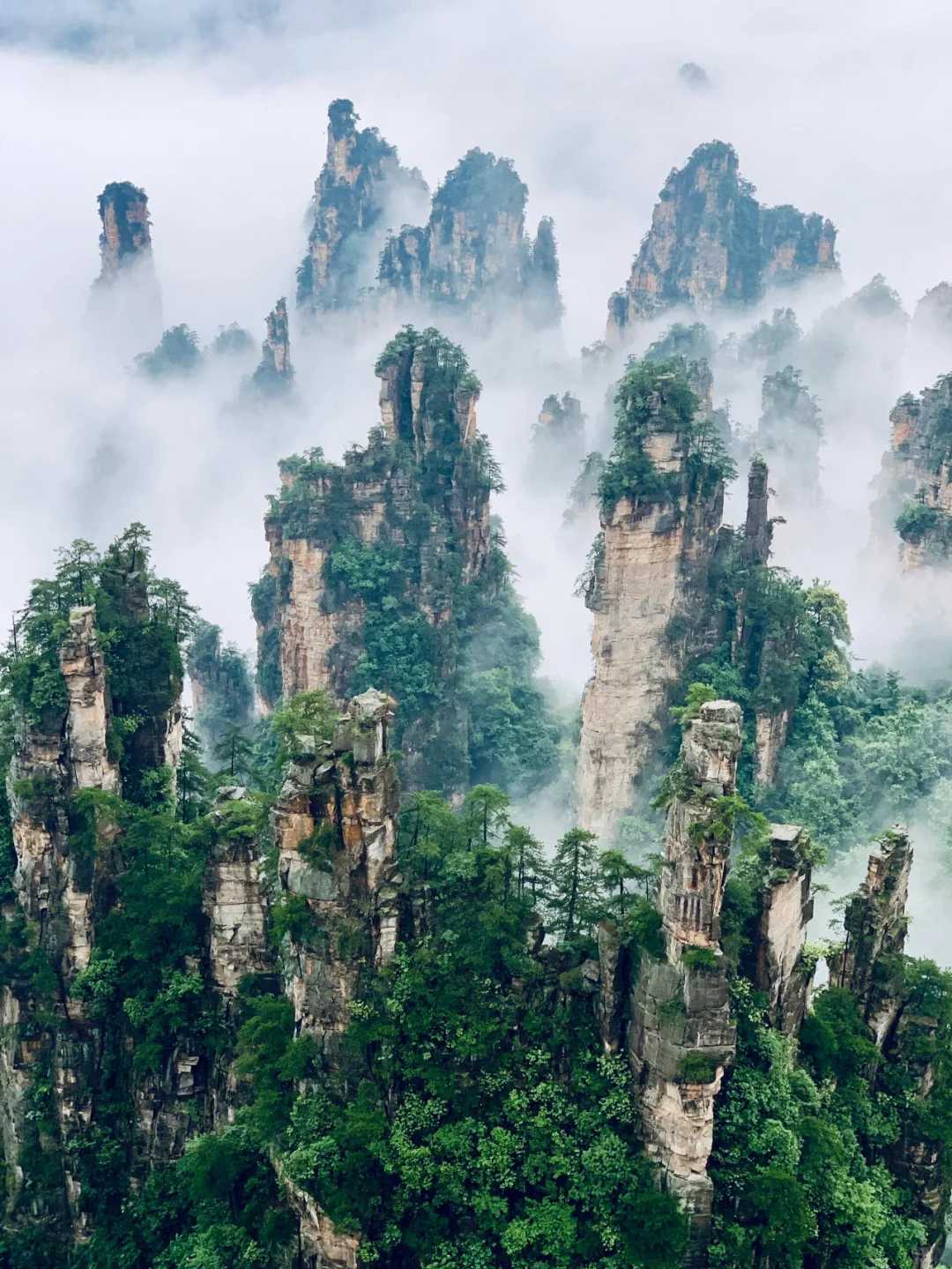 Changsha-Zhangjiajie Western Hunan 5-day travel guide, go deep into the National Forest Park to explore the wonders of the canyon