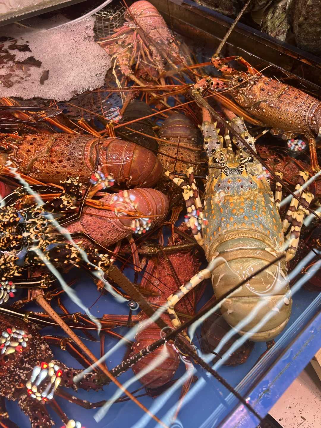 Okinawa-Daiichi Makishi Public Market. How can you not eat the freshest seafood when you come to Okinawa?