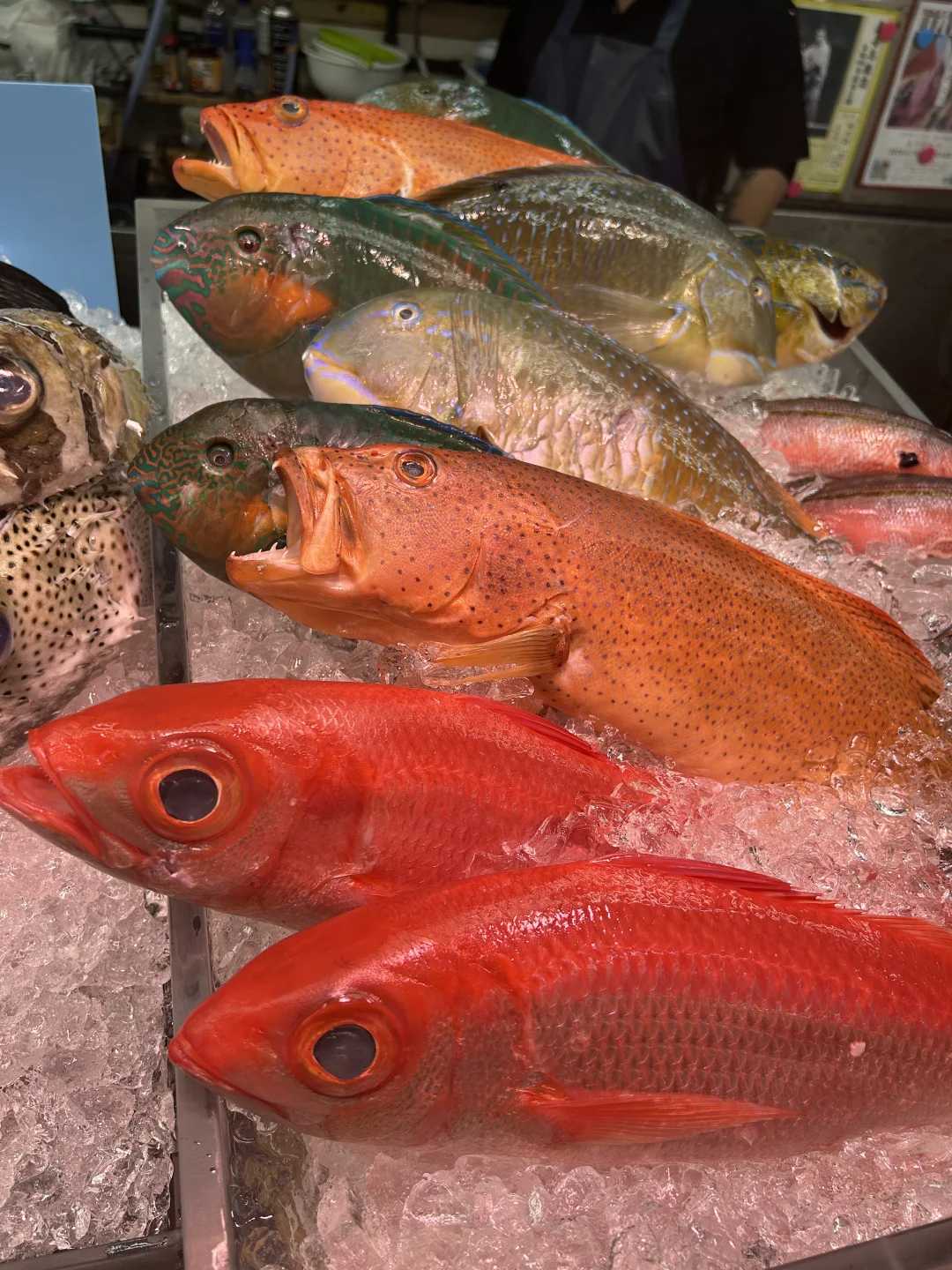 Okinawa-Daiichi Makishi Public Market. How can you not eat the freshest seafood when you come to Okinawa?