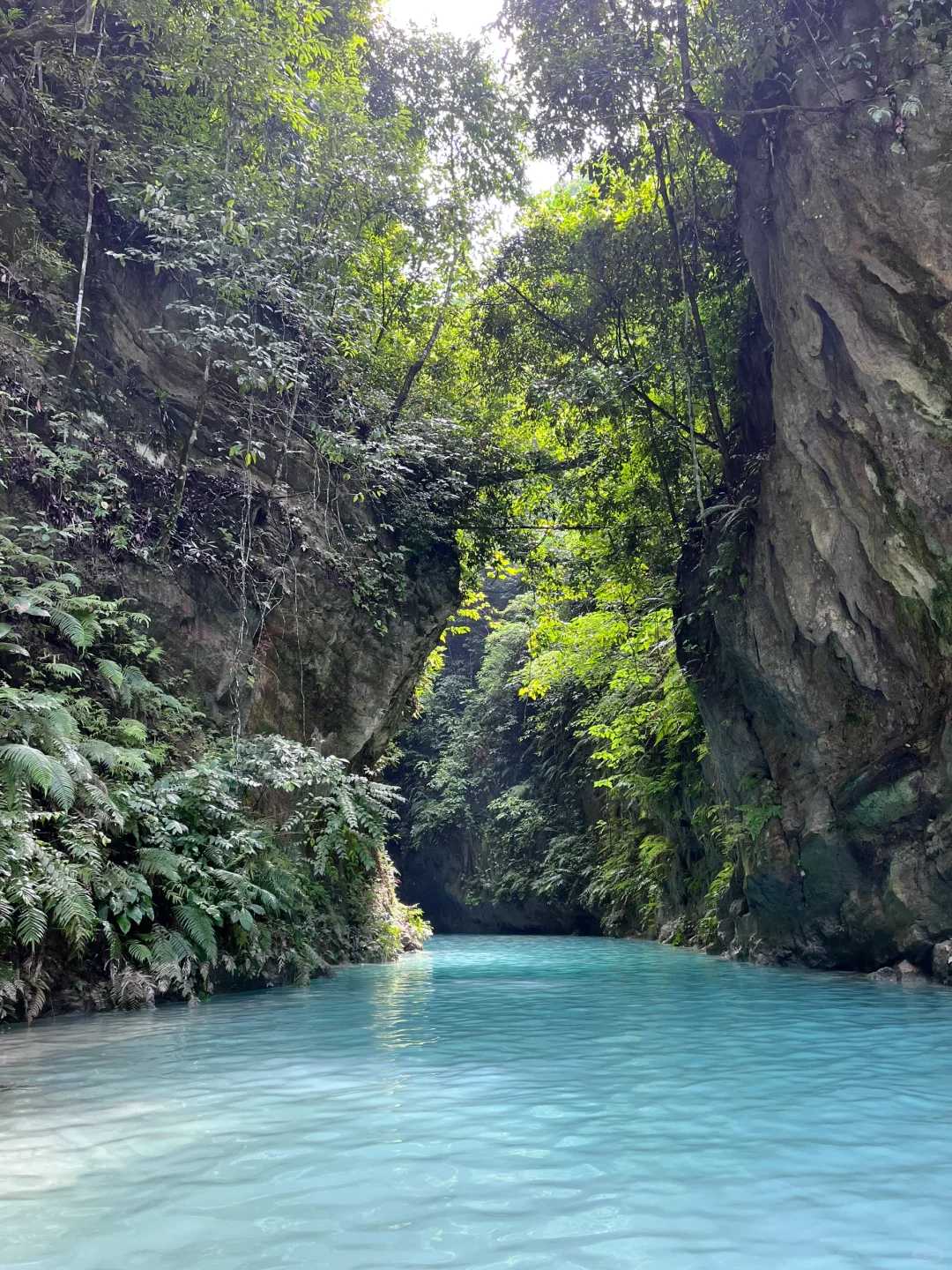 Cebu-Charter a car to travel up the Kawasan River in Cebu and watch sardines swimming around in Moalboal