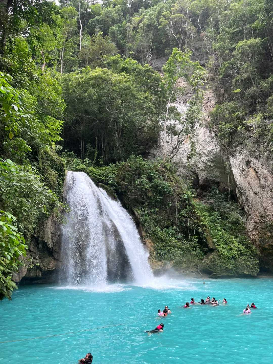 Cebu-Charter a car to travel up the Kawasan River in Cebu and watch sardines swimming around in Moalboal