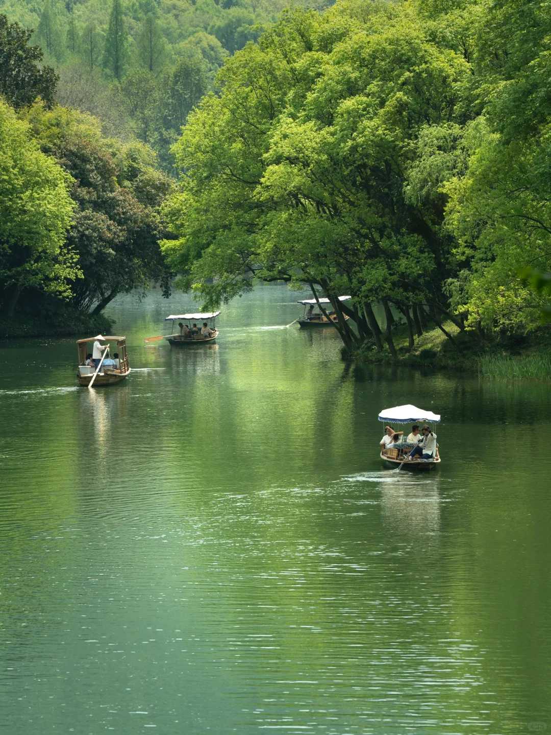 Shanghai/Hangzhou-Hangzhou | It is recommended that people who feel low in energy take this route