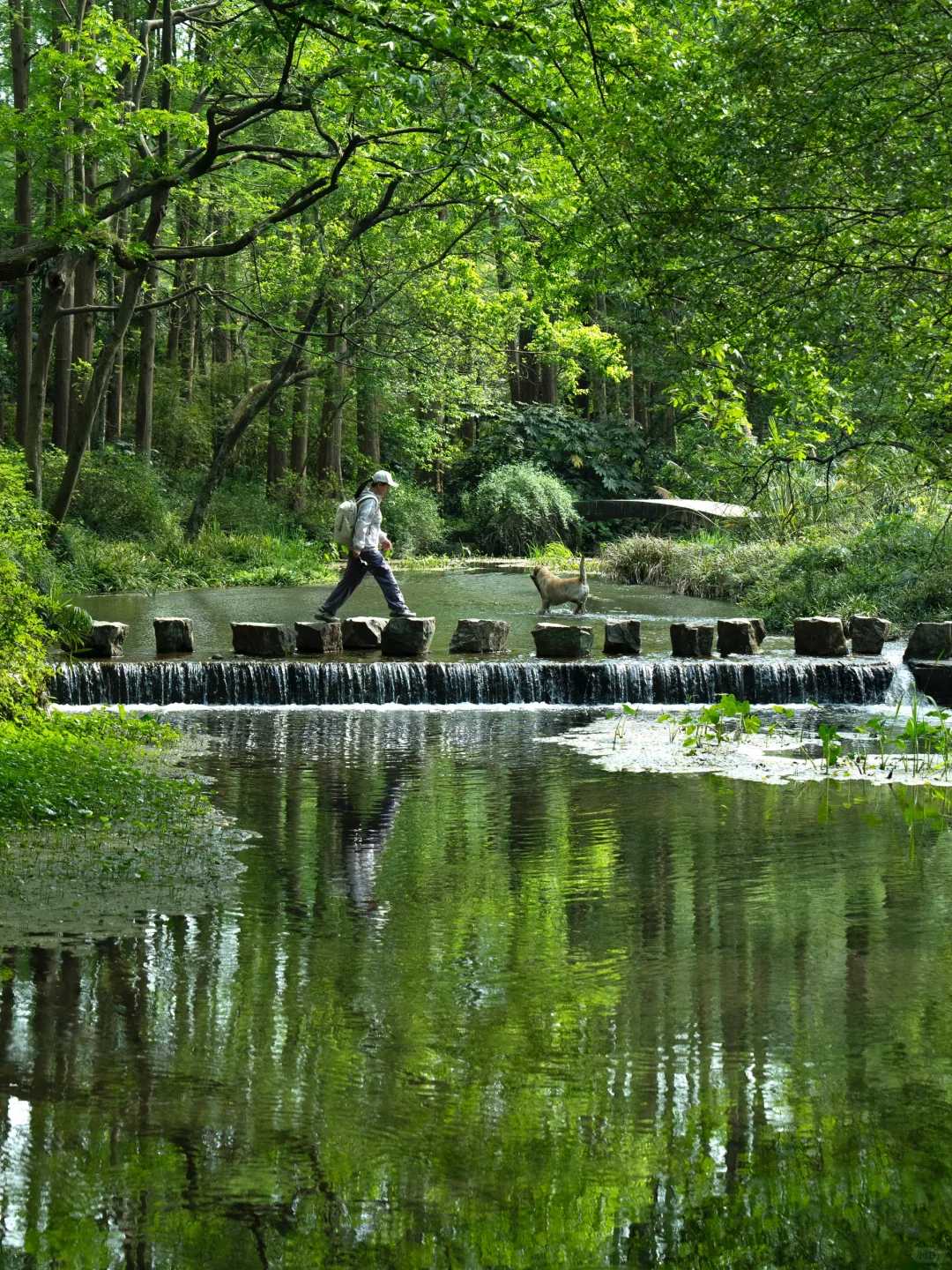 Shanghai/Hangzhou-Hangzhou | It is recommended that people who feel low in energy take this route