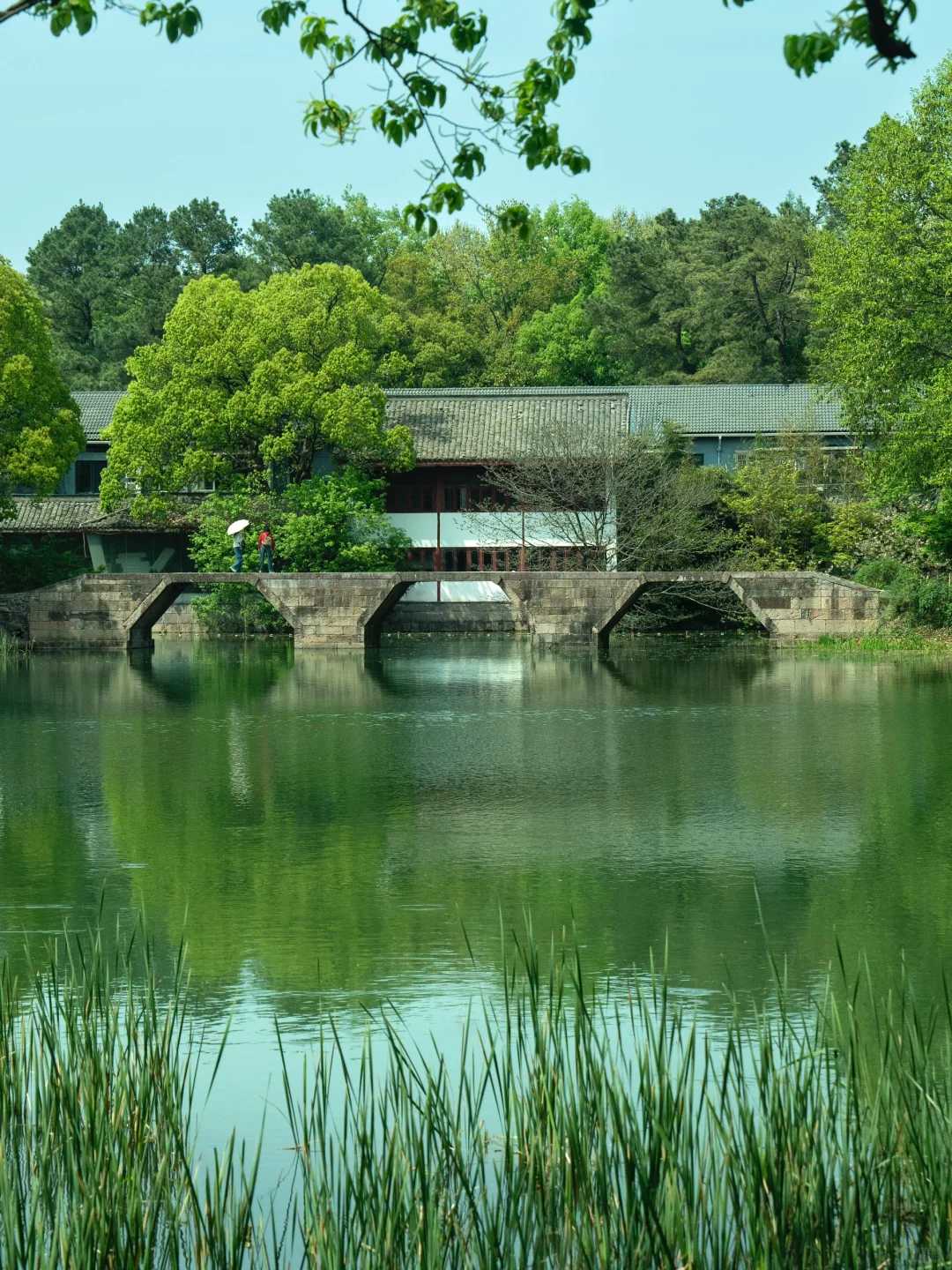 Shanghai/Hangzhou-Hangzhou | It is recommended that people who feel low in energy take this route