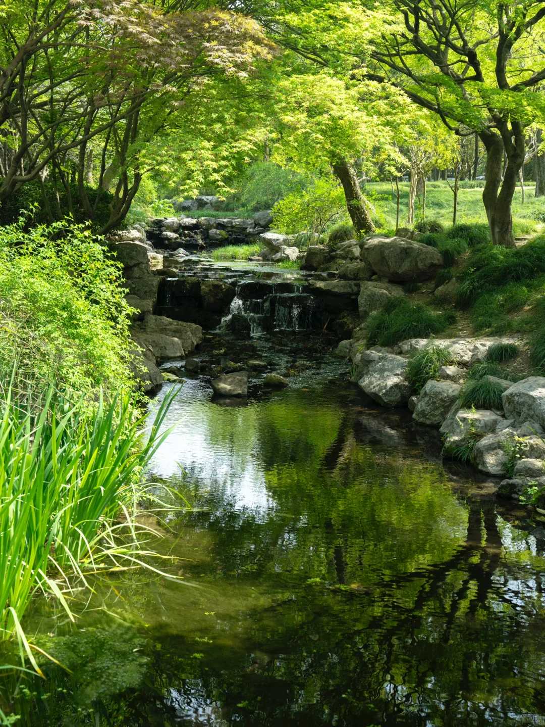 Shanghai/Hangzhou-Hangzhou | It is recommended that people who feel low in energy take this route