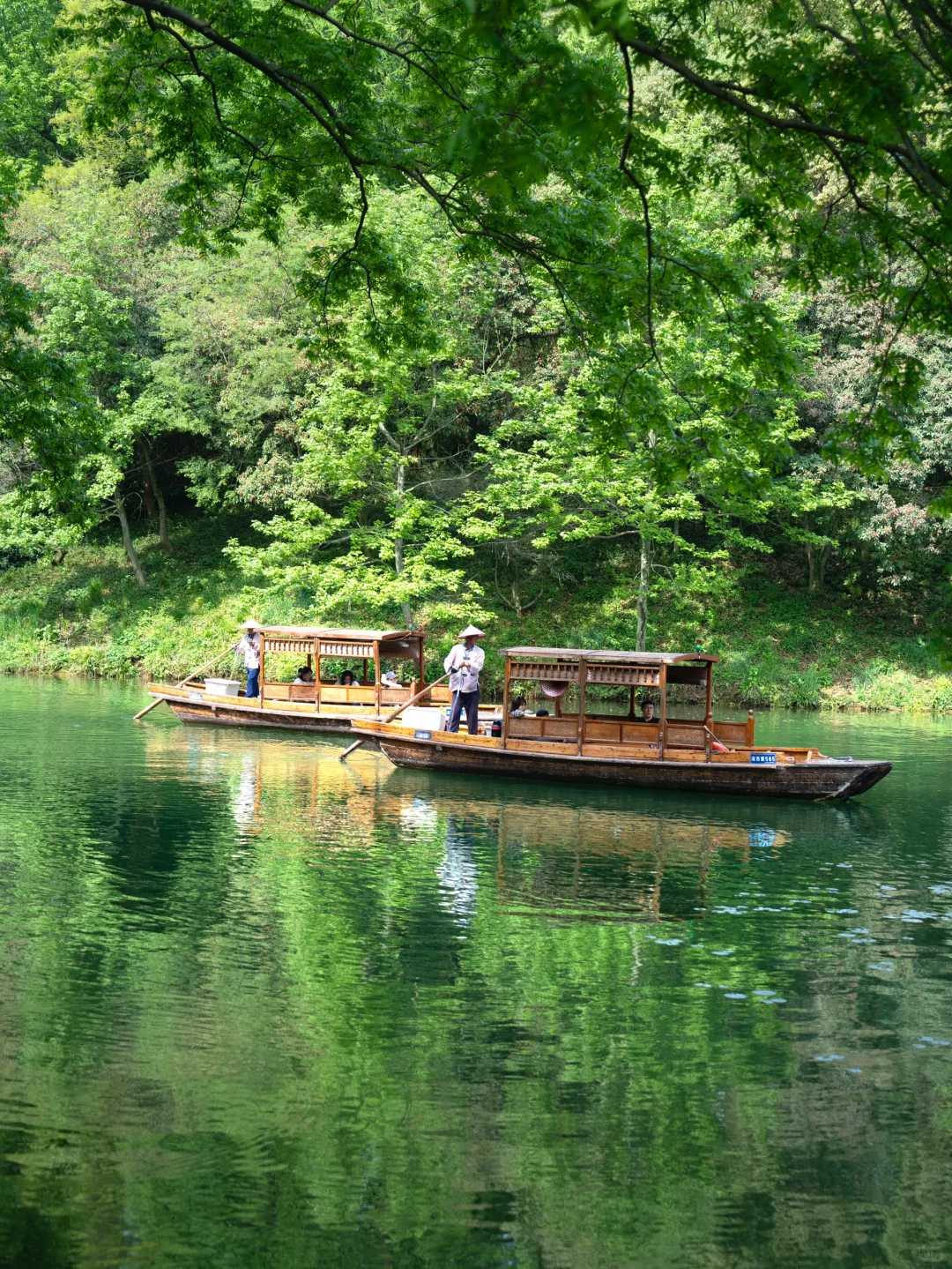 Shanghai/Hangzhou-Hangzhou | It is recommended that people who feel low in energy take this route