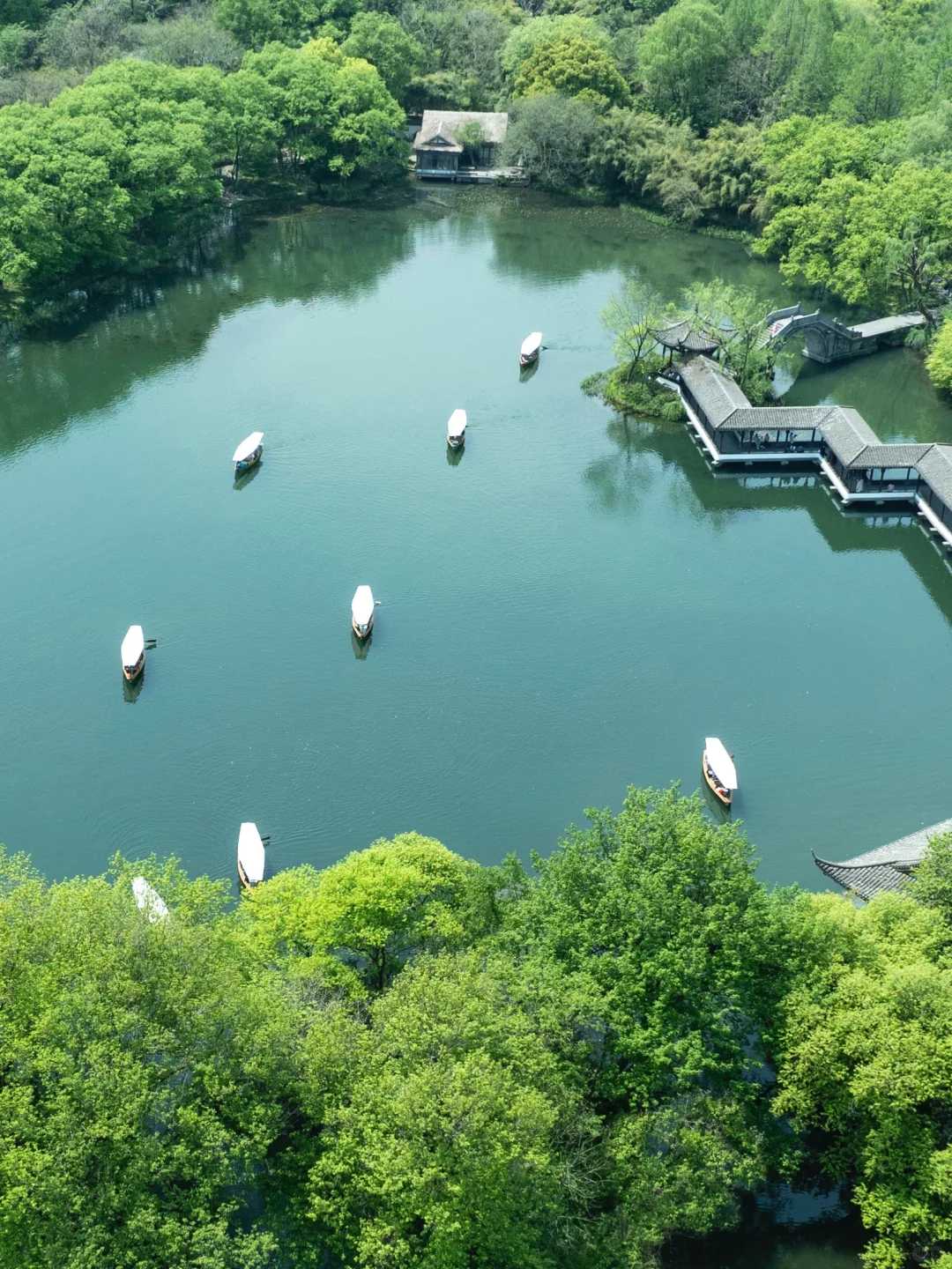Shanghai/Hangzhou-Hangzhou | It is recommended that people who feel low in energy take this route