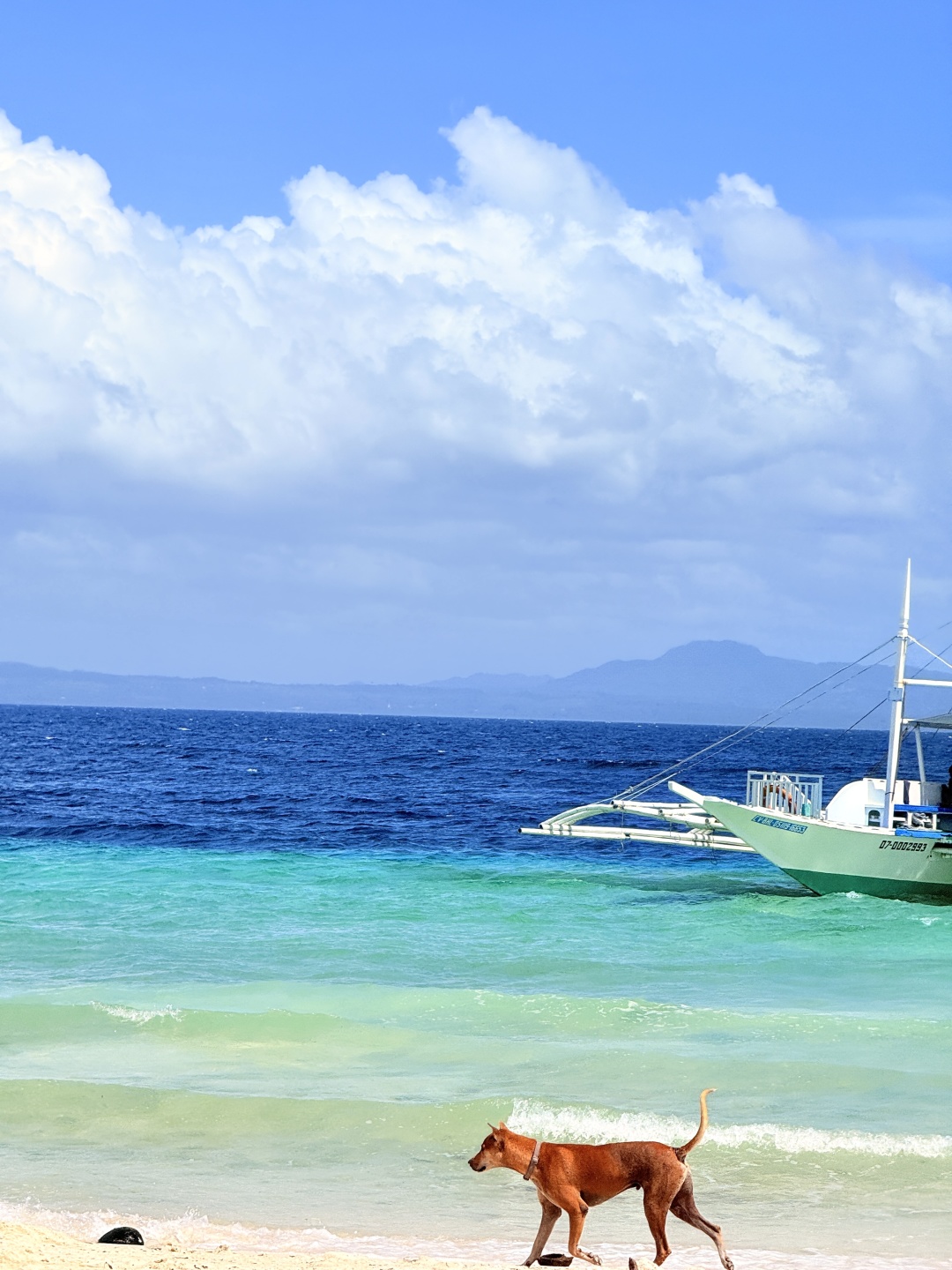 Cebu-Bohol Island, Philippines | A guide to the most beautiful islands, so beautiful that it’s breathtaking!