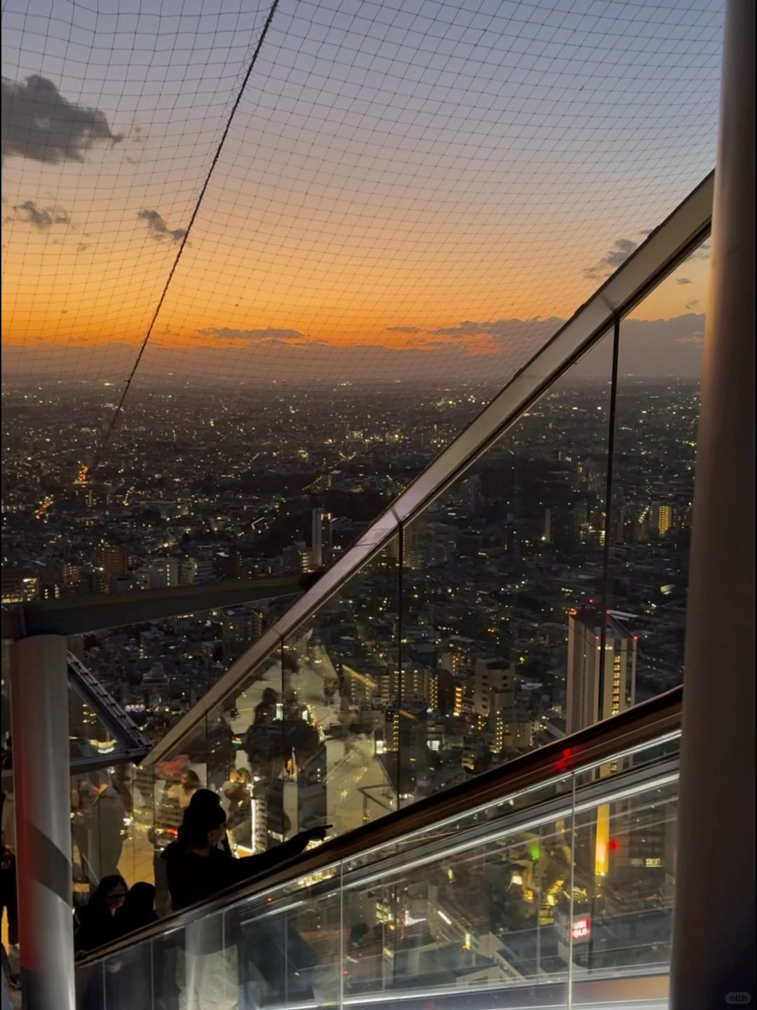 Tokyo-Japan｜Travel to Tokyo during the Cherry Blossom Season, Shibuya Sky Viewing Guide