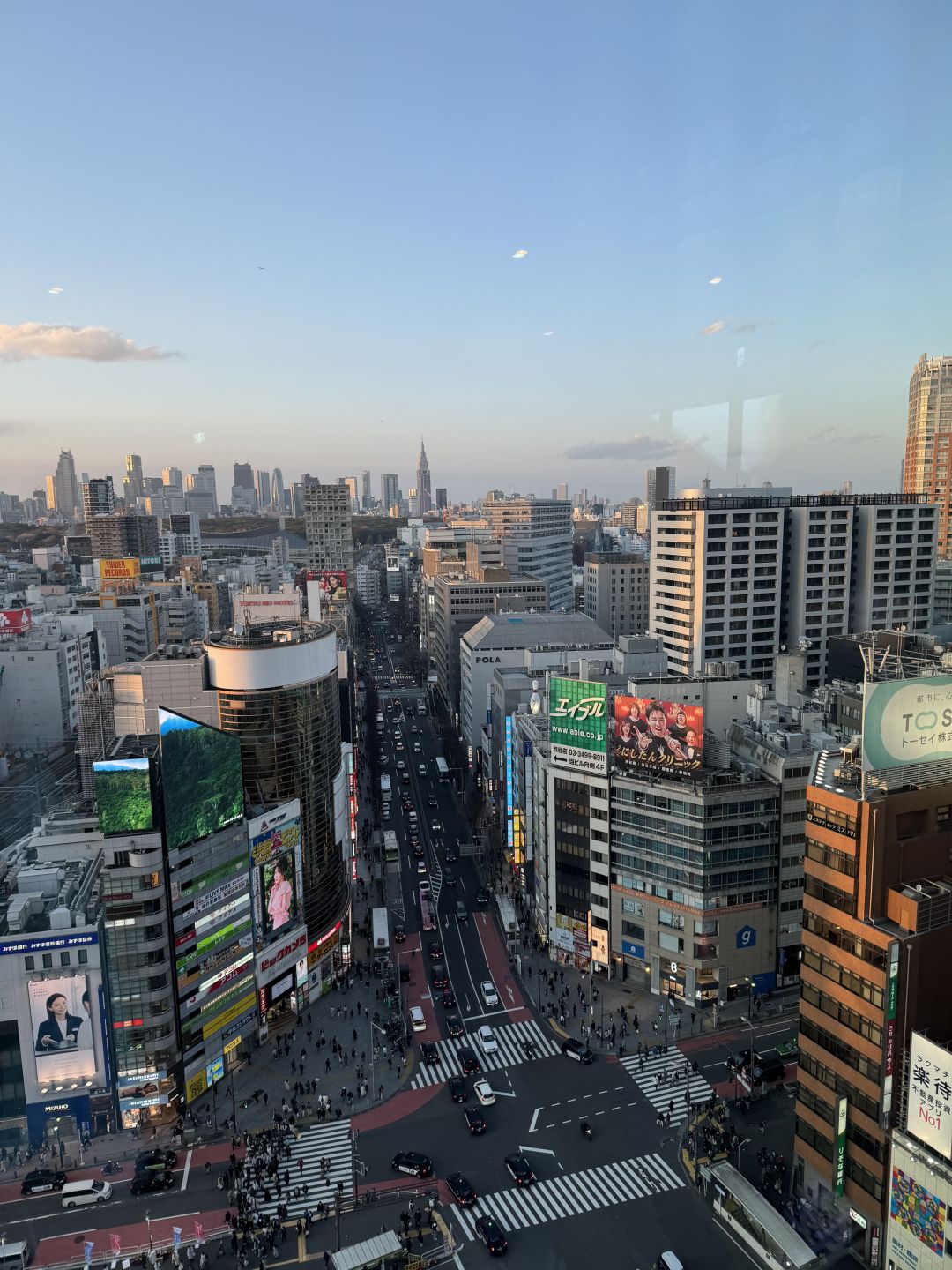 Tokyo-Japan｜Travel to Tokyo during the Cherry Blossom Season, Shibuya Sky Viewing Guide