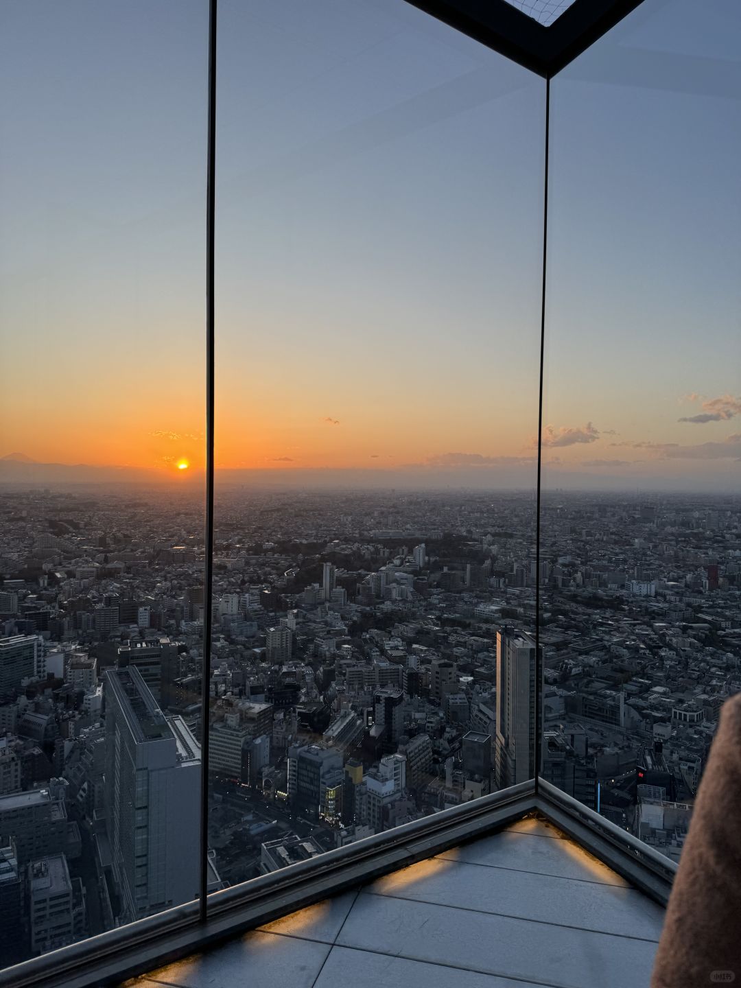Tokyo-Japan｜Travel to Tokyo during the Cherry Blossom Season, Shibuya Sky Viewing Guide