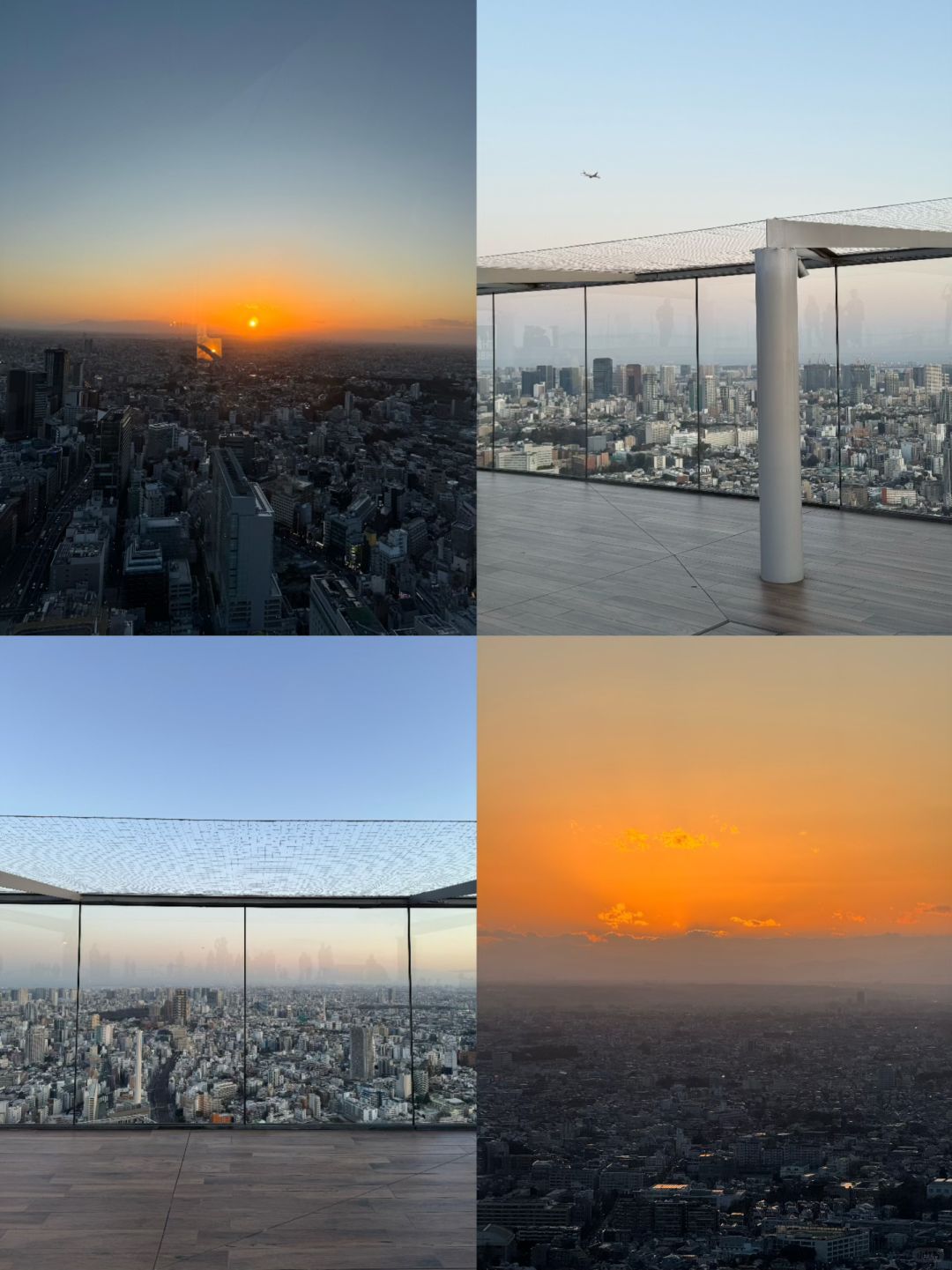 Tokyo-Japan｜Travel to Tokyo during the Cherry Blossom Season, Shibuya Sky Viewing Guide