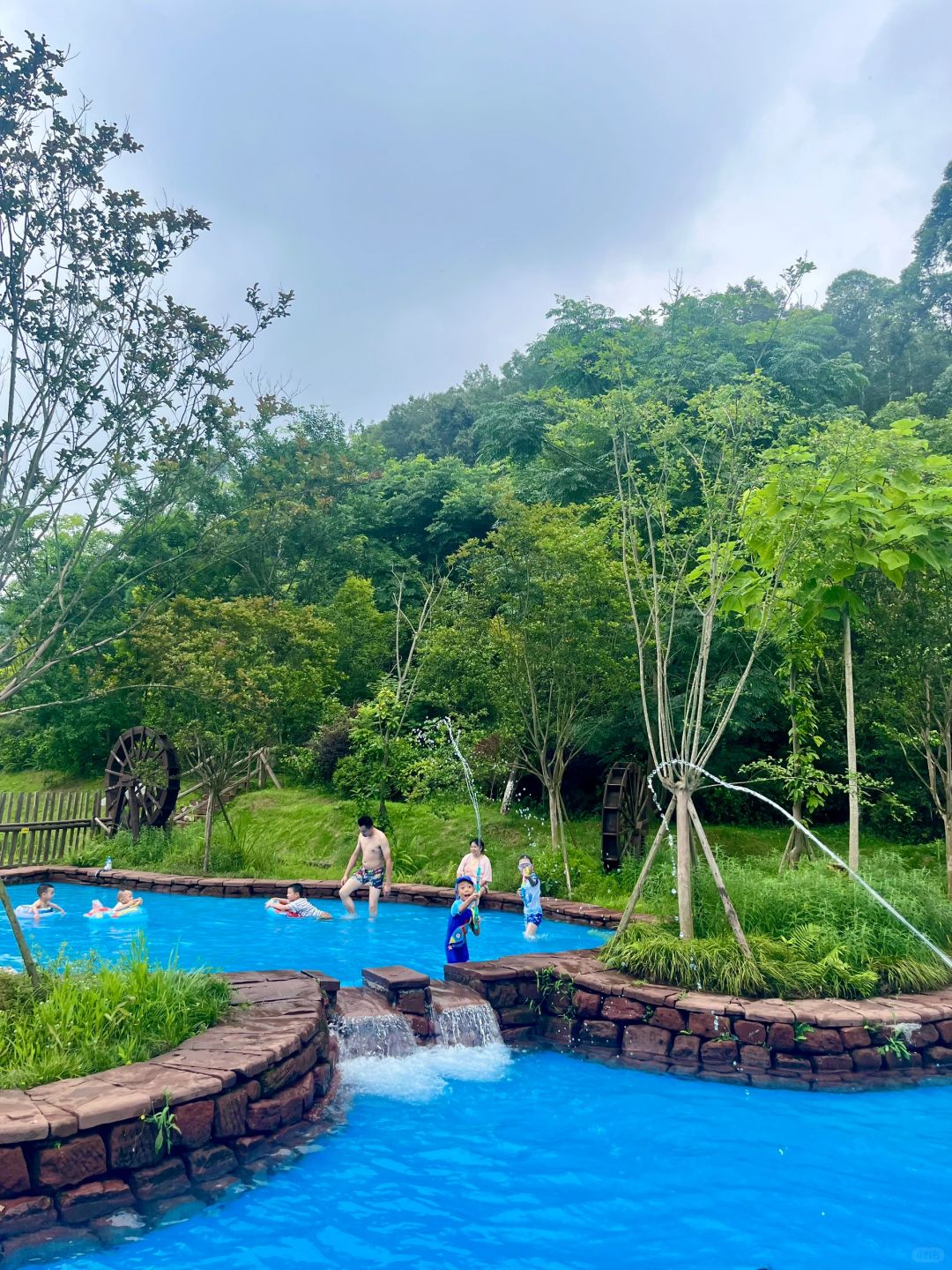 Chengdu/Chongqing-Chengdu Huanglongxi Happy Farm, close contact with cute alpacas, sika deer and other animals