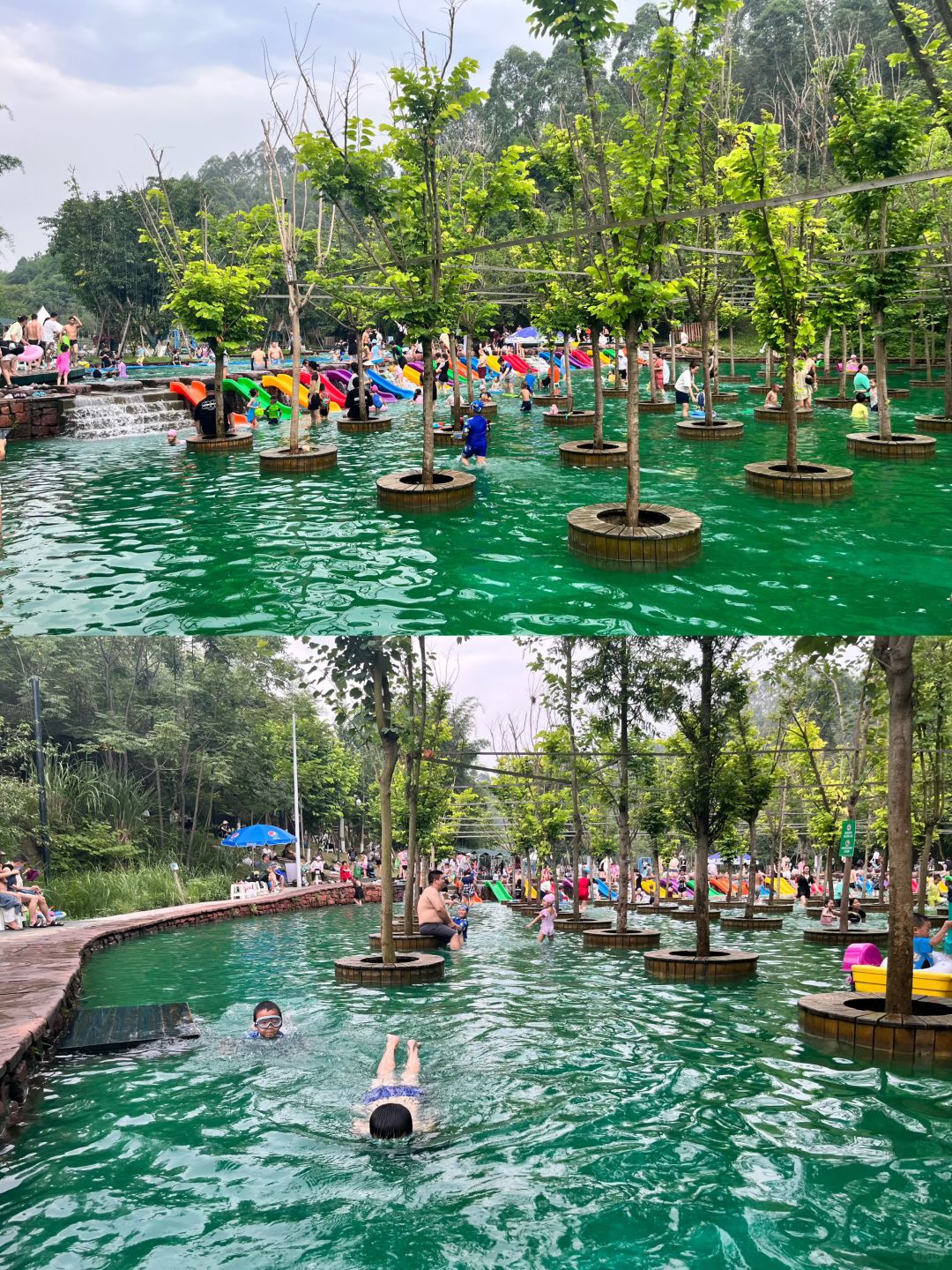 Chengdu/Chongqing-Chengdu Huanglongxi Happy Farm, close contact with cute alpacas, sika deer and other animals