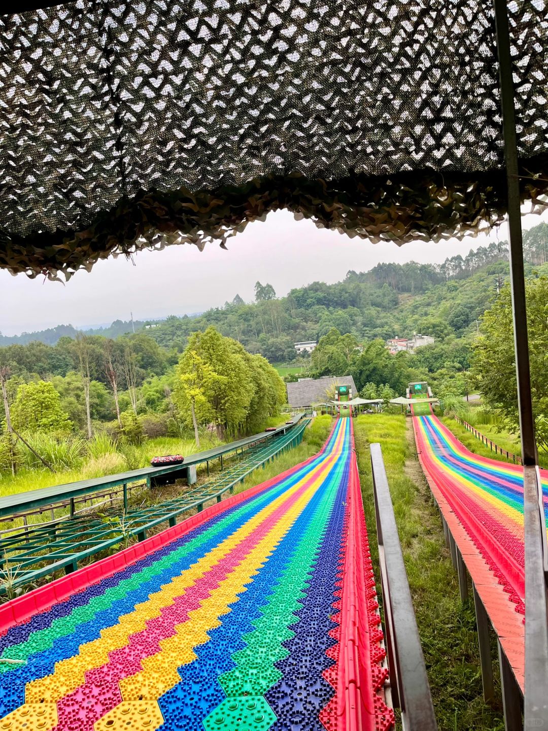 Chengdu/Chongqing-Chengdu Huanglongxi Happy Farm, close contact with cute alpacas, sika deer and other animals