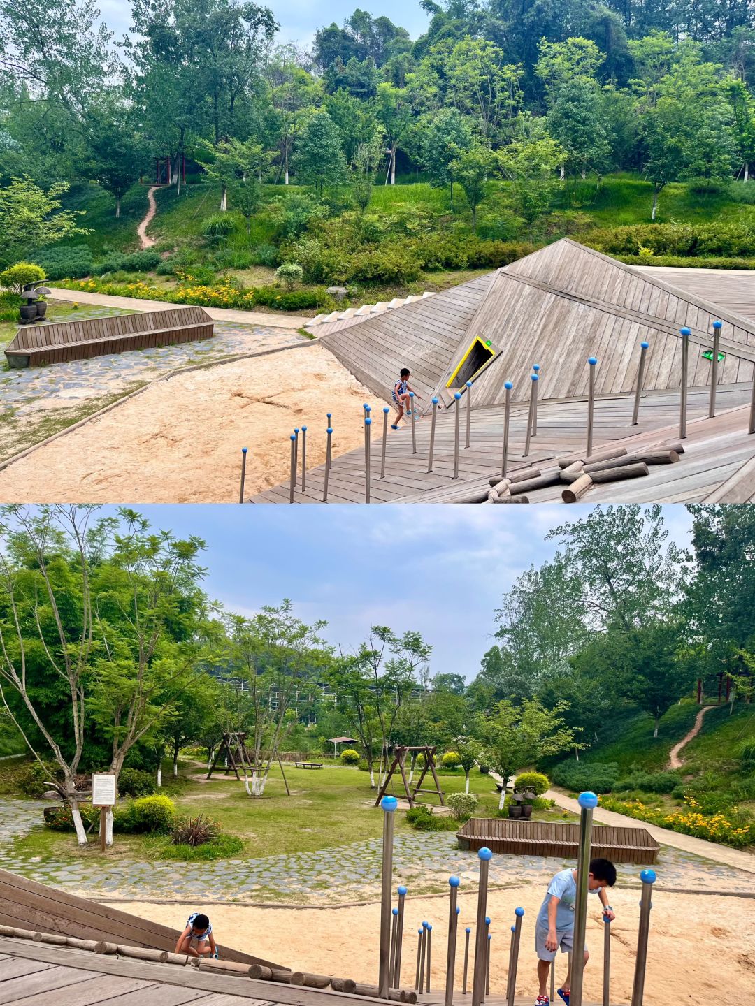 Chengdu/Chongqing-Chengdu Huanglongxi Happy Farm, close contact with cute alpacas, sika deer and other animals
