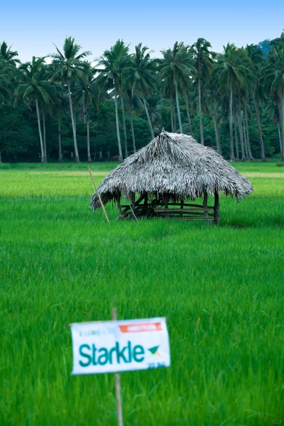 Clark/Angel City-Mayon Volcano and Donsol in the Philippines, a niche tourist destination