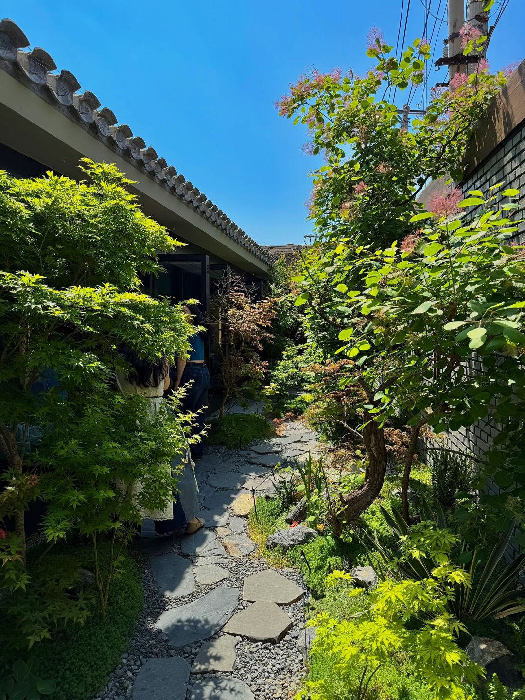 Beijing/Tianjin-The most stunning China Beijing City Walk tour route so far has appeared!