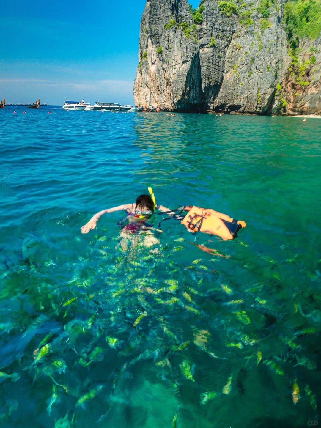 Phuket-Phuket Family Travel Guide, Snorkeling in Racha Island, Coral Island and Honeymoon Island