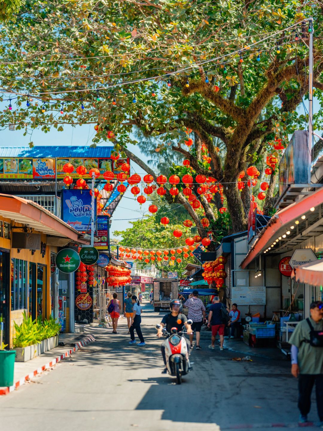 Phuket-Phuket Family Travel Guide, Snorkeling in Racha Island, Coral Island and Honeymoon Island