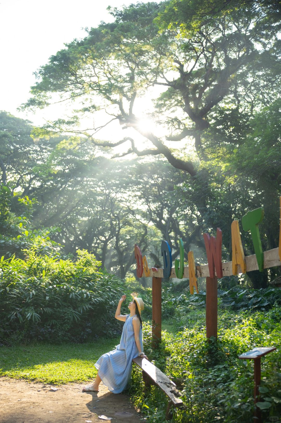 Jakarta-De Djawatan forest in Jakarta, enter the real-life Lord of the Rings forest in Indonesia