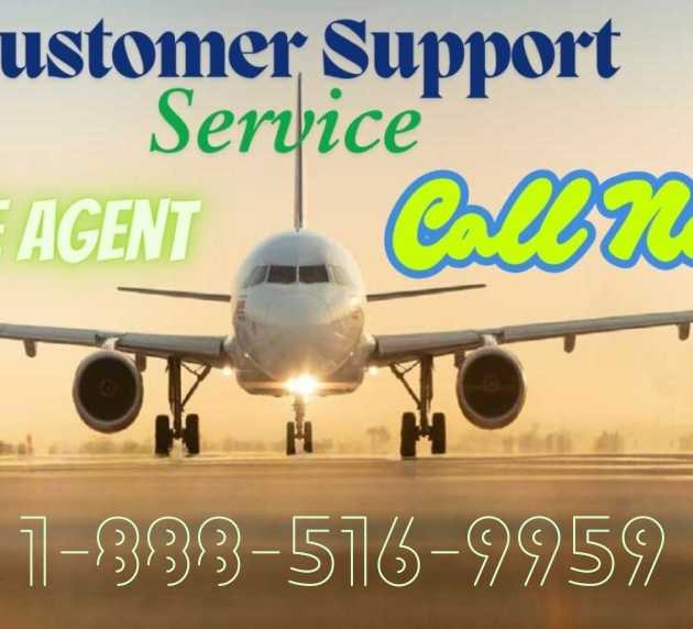 Advertisement-((Six)) Reliable Options to Get Qatar Airways® Support