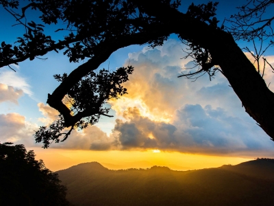 Phu Soi Da National Park. ?️Beautiful natural tourist destination and fresh air