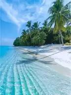 If you come to Bali, you must come to Lembongan Island?, it is really beautiful