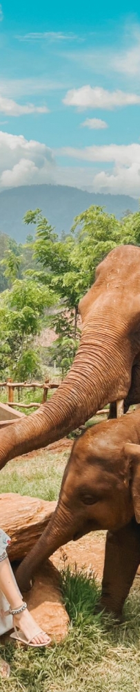 I traveled to Chiang Mai, Thailand 10 times a year and lived there. Here are my real feelings