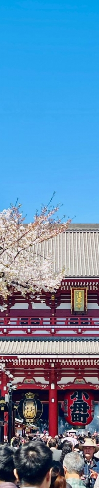 Recommended Tokyo walking tour routes: Sensoji Temple, Tokyo Skytree, Ginza and Shibuya.