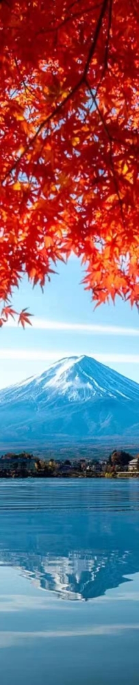 One-day trip destinations in the suburbs of Tokyo --Shonan Coast, Hakone, Hayama, Yokohama
