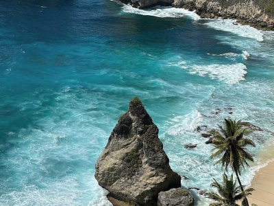 Bali's Diamond Beach is the best place to see Icelandic seals