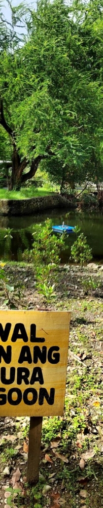 Manila Zoo, visitors can take boat ride to admire wild ducks and mandarin ducks in the lake