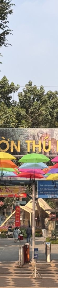 The monkeys at the Hanoi Zoo in Vietnam have developed a set of skills to please tourists