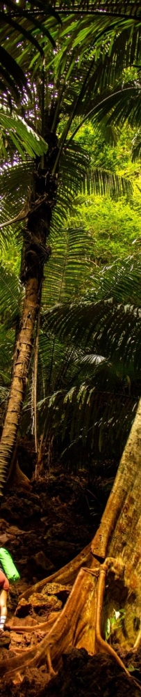 Lagoon Trial in Krabi, Thailand, not only has other mountains, but also red land rainforest
