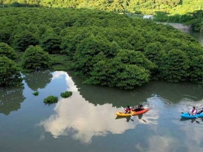 Okinawa Natural Monument Oura Mangrove Kayak Experience with Drone Service