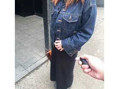 Sapporo sex experience, girl inserts remote control vibrator into vagina while shopping