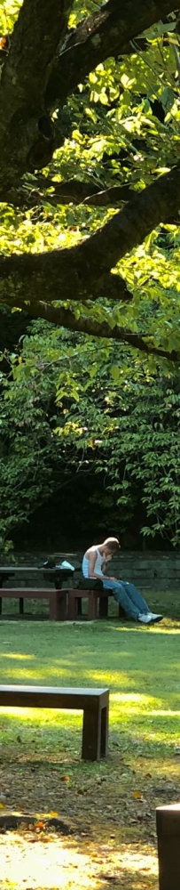 Places full of art, history and culture: Kiyosumi Garden,Blue Bottle Coffee, Modern Museum of Modern Art