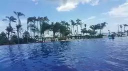 Cebu: Watching dancing whale sharks and narrowly escaping an earthquake
