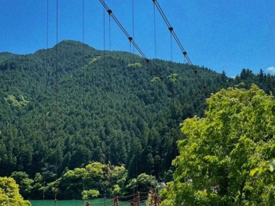 Wakayama, peaceful haven, ride the Kodama Railway to see waterfalls, forests and shrines