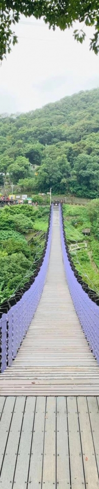 The Baishihu Suspension Bridge in Neihu, Taipei, looks like a flying dragon crossing the valley