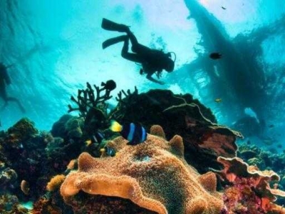 Traveling in the Philippines, the 12 most attractive attractions of Cebu!
