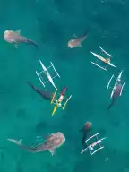 Compared to the Maldives, Cebu in the Philippines is the most suitable destination for island travel