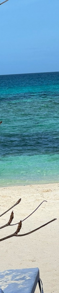 Avila's Horizon Dive Resort Malapascua Hotel, motorbike pick-up and drop-off
