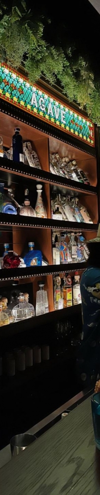 El Lequio Bar, Okinawa, enjoy a glass of regional specialty snake wine and savory cocktail