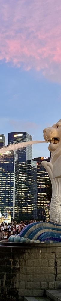 Three things you must do when traveling to Singapore, Merlion/Sands Hotel/Skypark