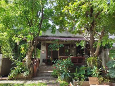 Chiang Mai Travel Guide: A Weeklong Trip to Chiang Mai, Thailand for $200, Full of Greenery