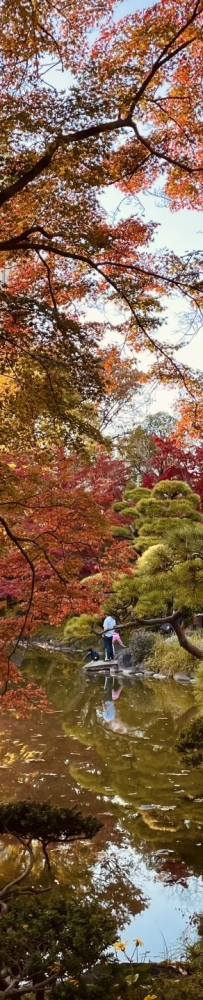 Hibiya Park in Tokyo, Japan, has beautiful scenery, not many people, and no tickets are required