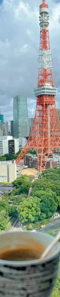 Three Tokyo hotels that are absolutely perfect, Tokyo's top three hotels recommended